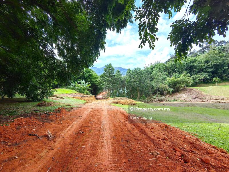 Agricultural Land for Sale in Bukit Tinggi, Bentong by Irene Leong - iProperty.com.my