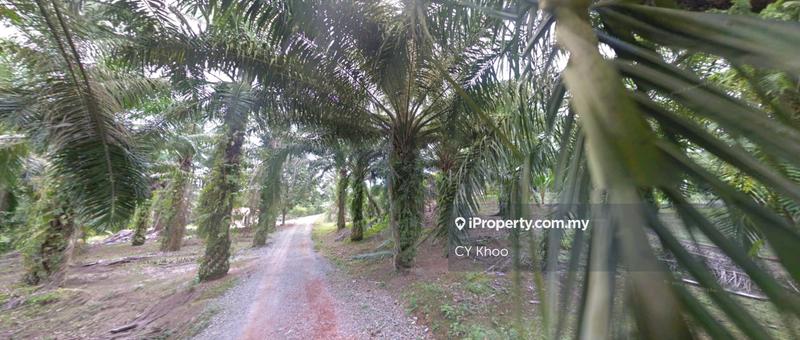 For Sale - Johor Simpang Renggan Kawasan Perindustrian IKS 41 acres Zoning Residential Development Land