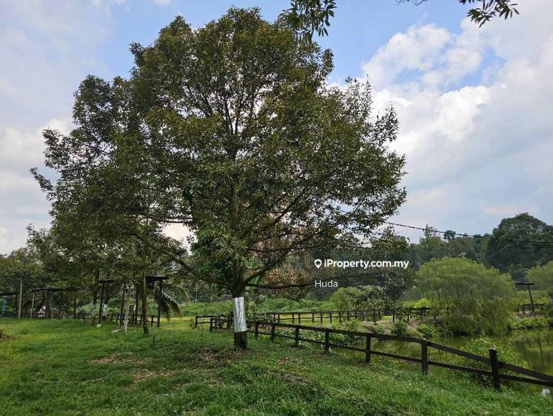 Agricultural Land for Sale in Pekan Batu 14, Hulu Langat by Huda - iProperty.com.my