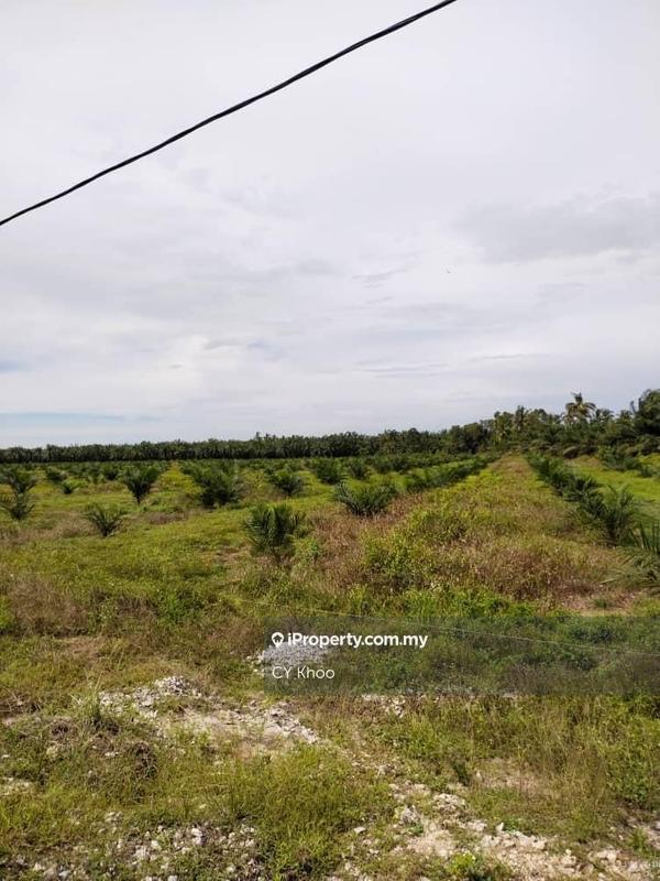 Tanah Pertanian untuk Dijual di Perak Tengah Jaya Baru Sitiawan 32000 Lekir, Sitiawan oleh CY Khoo - iProperty.com.my