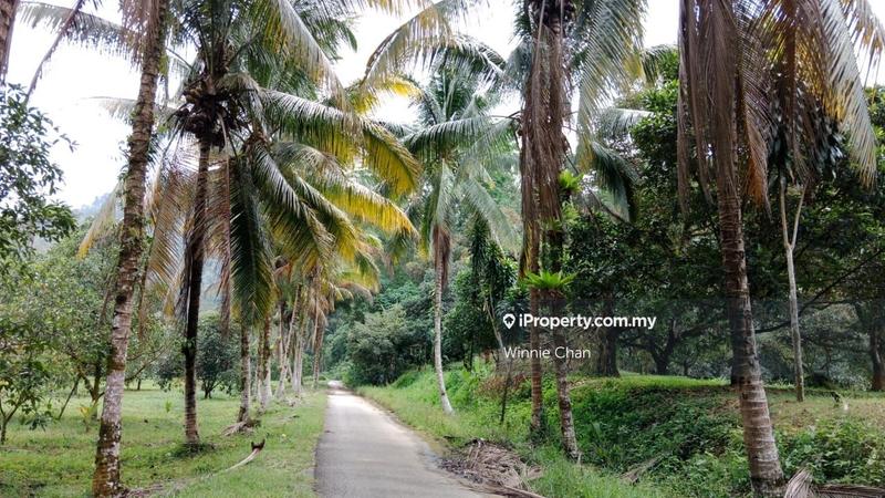 Agricultural Land for Sale in Tapah Perak 550 Acres Freehold Agriculture Land, Tapah by Winnie Chan - iProperty.com.my