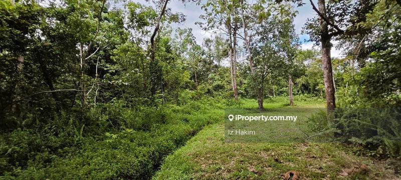 Agricultural Land for Sale in Batang Kali, Selangor by Iz Hakim - iProperty.com.my