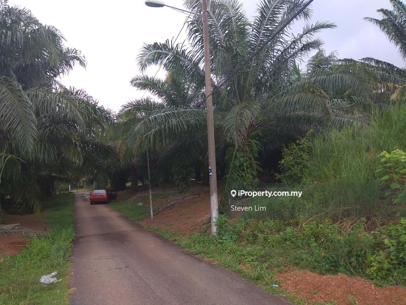 Agricultural Land for Sale in Taman Satu Krubong, Krubong by Steven Lim - iProperty.com.my