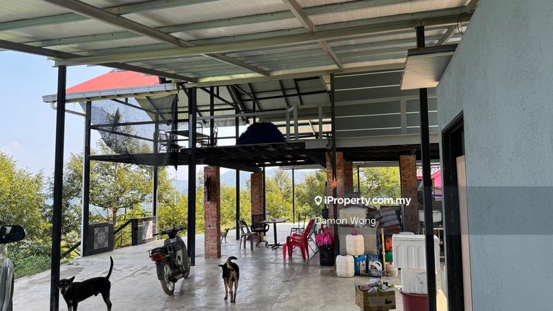 For Sale - 6.5 acres durian in Bentong