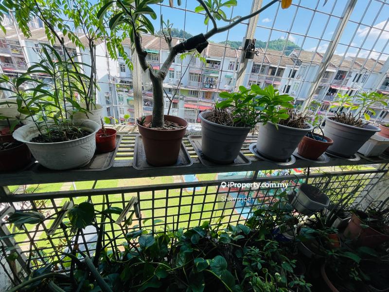 Pangsapuri untuk Dijual di Mahsuri Apartments oleh Shamzjoe - iProperty.com.my