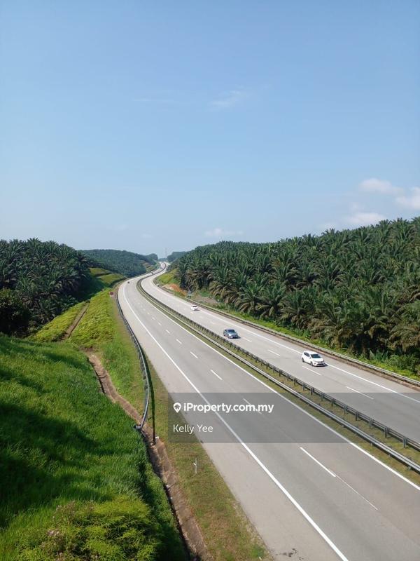 Agricultural Land for Sale in Palm Oil Plantation @ Ulu Lepar, Kuantan for Sale, Kuantan by Kelly Yee - iProperty.com.my