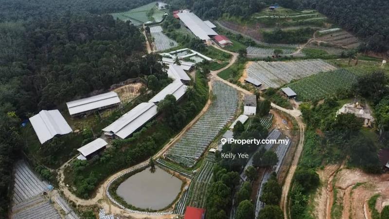 Agricultural Land for Sale in Kampung Legong Jaya, Gadong by Kelly Yee - iProperty.com.my