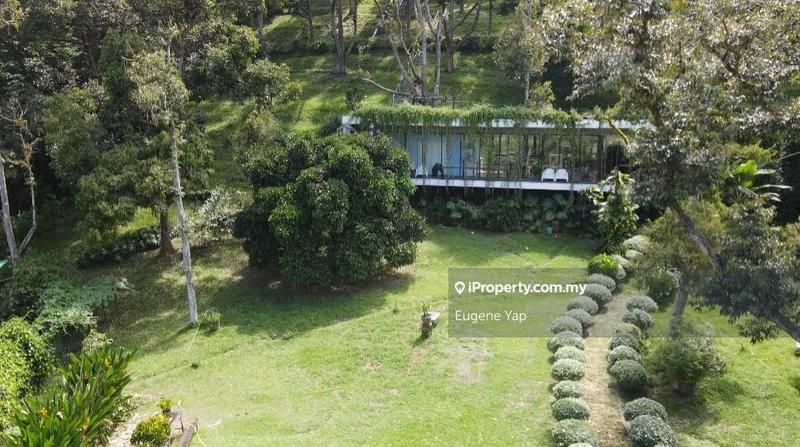 Agricultural Land for Sale in Bukit Tinggi, Bentong by Eugene Yap - iProperty.com.my
