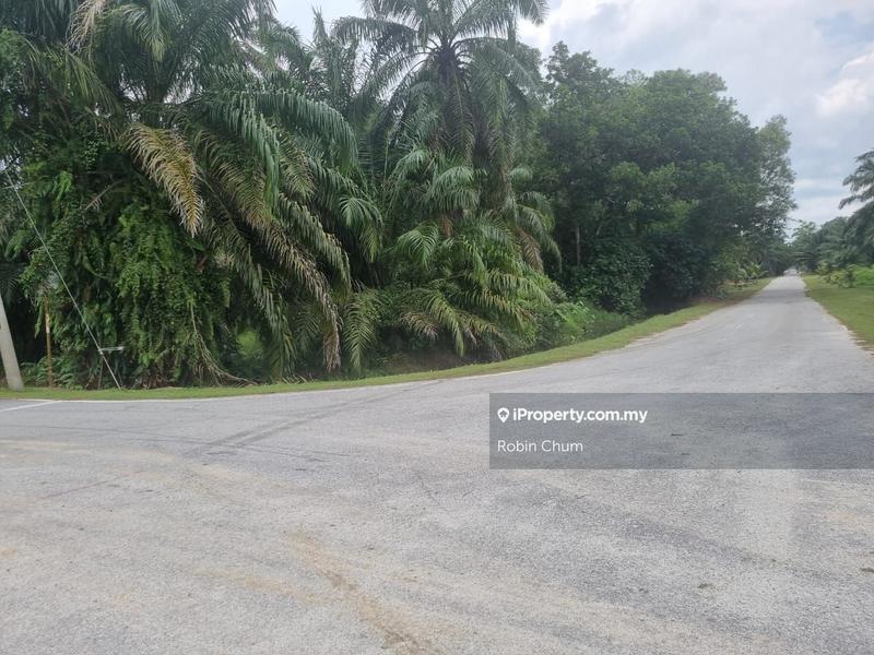 Tanah Pertanian untuk Dijual di Bukit Changgang, Banting oleh Robin Chum - iProperty.com.my