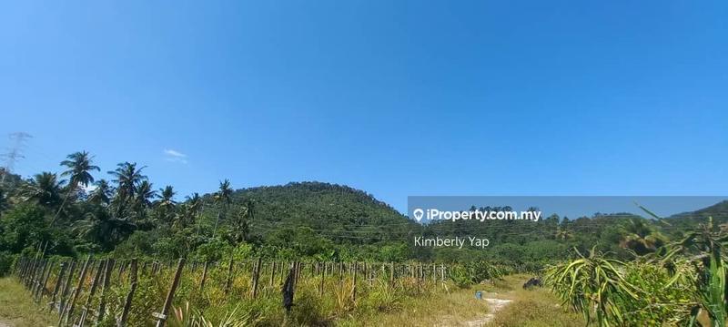 Tanah Pertanian untuk Disewa di Kampung Mantin, Mantin oleh Kimberly Yap - iProperty.com.my