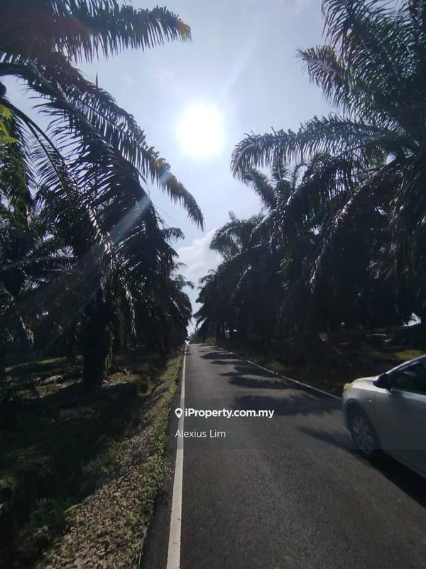 For Sale - 2pcs of 4 Acres Agricultural Land(Road Side) @ Desa Makmur, Mukim Kota Tinggi