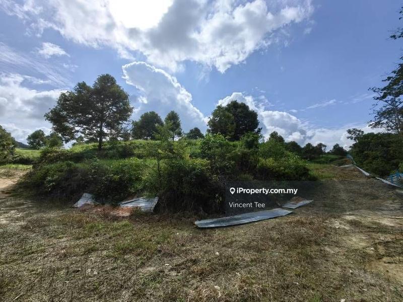 Agricultural Land for Sale in Bandar Lipis, Kuala Lipis by Vincent Tee - iProperty.com.my
