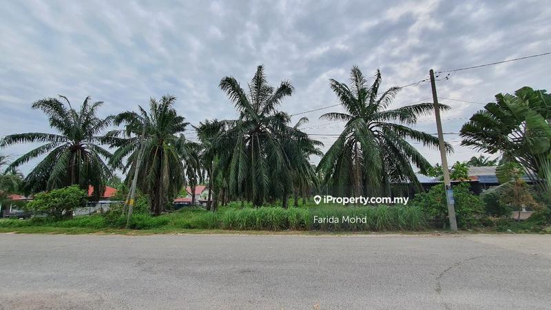 Tanah Pertanian untuk Dijual di Kuala Selangor, Jeram oleh Farida Mohd - iProperty.com.my