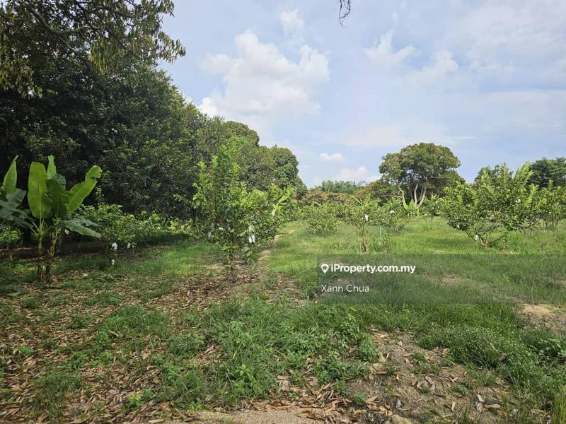 Agricultural Land for Sale in Taman Bemban Baru, Bemban by Xann Chua - iProperty.com.my
