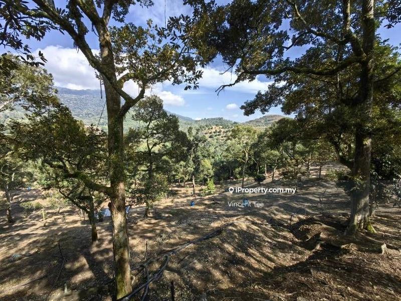Tanah Pertanian untuk Dijual di Cheroh, Raub oleh Vincent Tee - iProperty.com.my