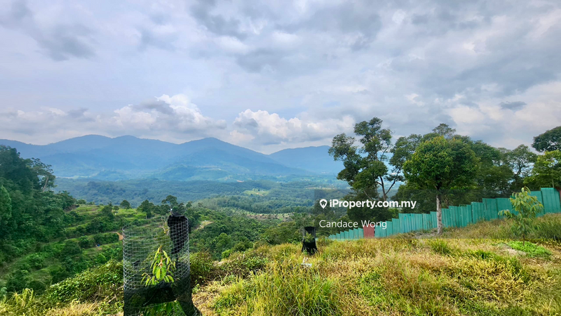 Agricultural Land for Sale in Kampung Sungai Lalang, Semenyih by Candace Wong - iProperty.com.my