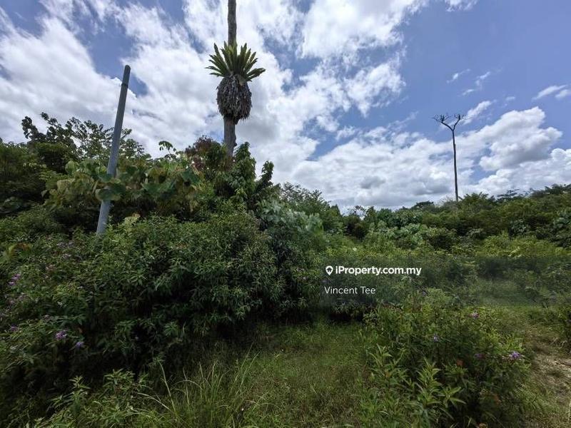 Agricultural Land for Sale in Bandar Lipis, Kuala Lipis by Vincent Tee - iProperty.com.my