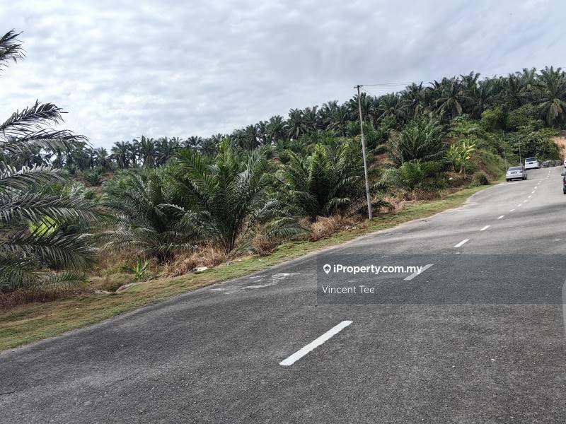 Agricultural Land for Sale in Bandar Mengkuang, Triang by Vincent Tee - iProperty.com.my