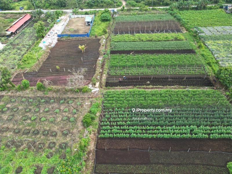 Agricultural Land for Sale in Kampung Sijangkang, Telok Panglima Garang by Azizirrahim - iProperty.com.my