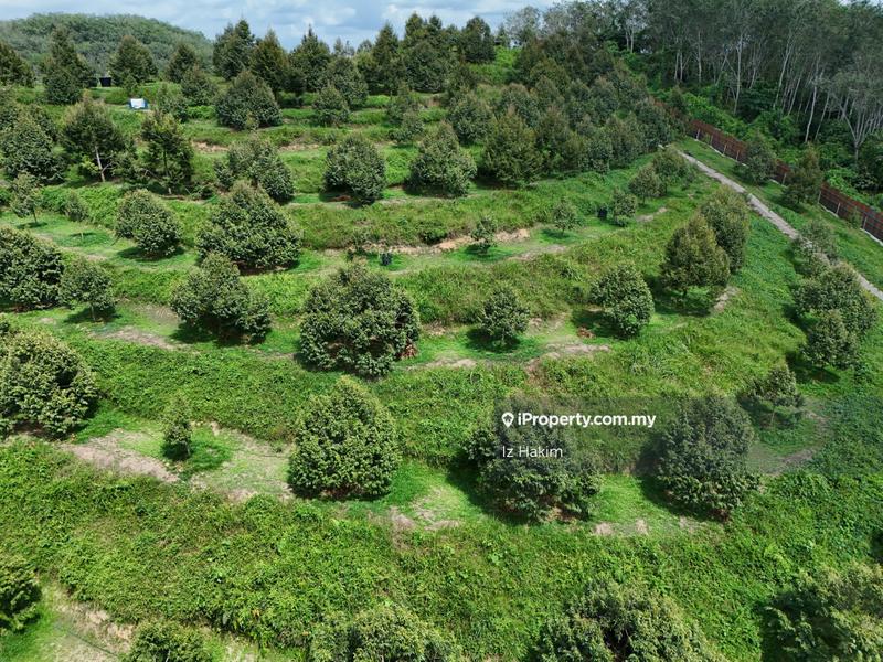 Tanah Pertanian untuk Dijual di Kerling, Selangor oleh Iz Hakim - iProperty.com.my