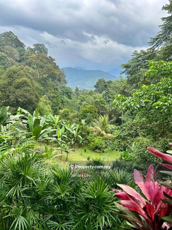 Apartment for Sale in Desa Ukay by Sandra Lee - iProperty.com.my