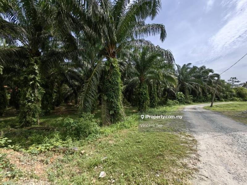 Agricultural Land for Sale in Kampung Jenderam Hulu, Dengkil by Vincent Tee - iProperty.com.my