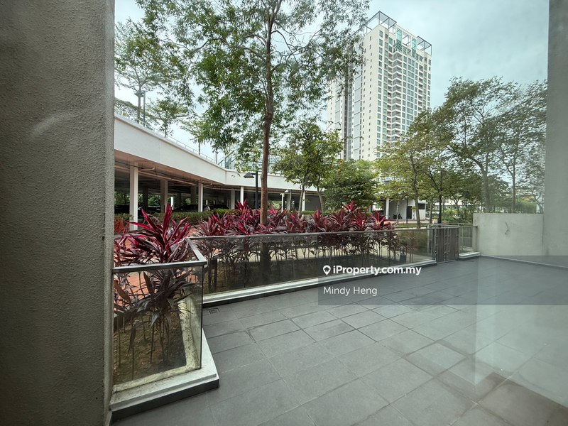 For Sale - Molek Pine 4