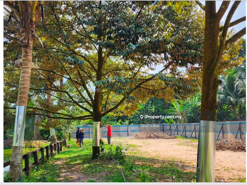 Agricultural Land for Sale in Hulu Langat, Selangor by Sean Liew - iProperty.com.my