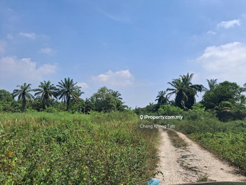 Agricultural Land for Sale in Kampung Sijangkang, Telok Panglima Garang by Chang Kheng Fatt - iProperty.com.my