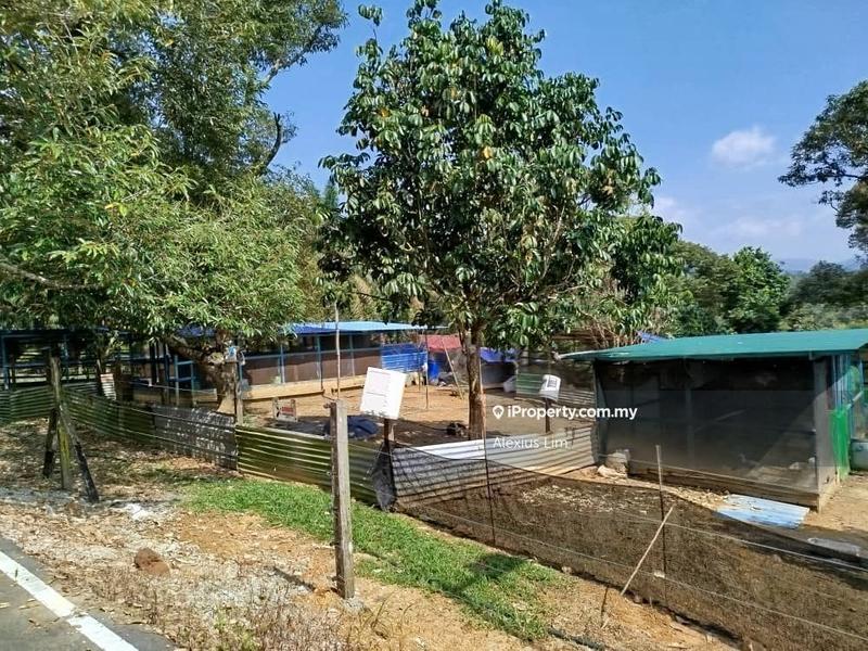 For Sale - 2pcs of 4 Acres Agricultural Land(Road Side) @ Desa Makmur, Mukim Kota Tinggi