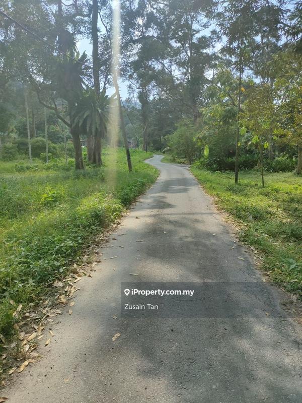 Tanah Pertanian untuk Dijual di Pulau Betong, Balik Pulau oleh Zusain Tan - iProperty.com.my
