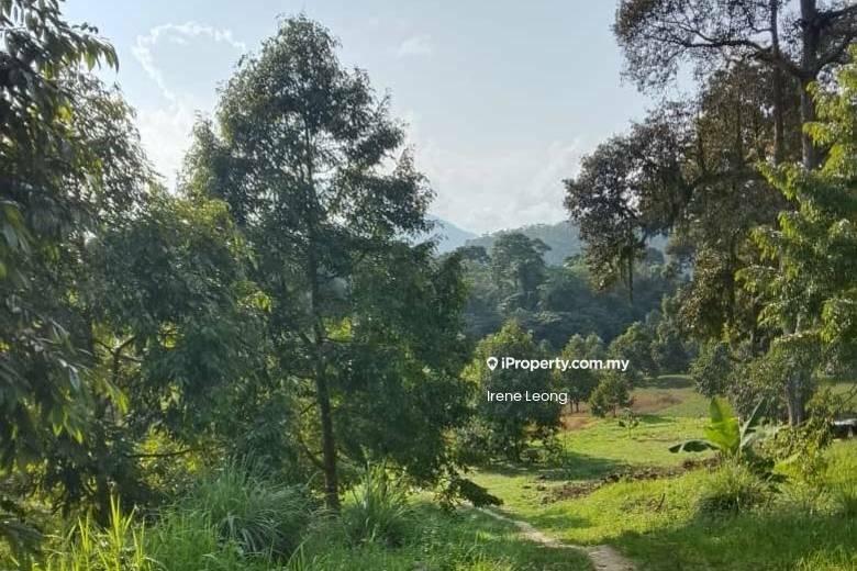 Agricultural Land for Sale in Karak, Pahang by Irene Leong - Exterior - iProperty.com.my