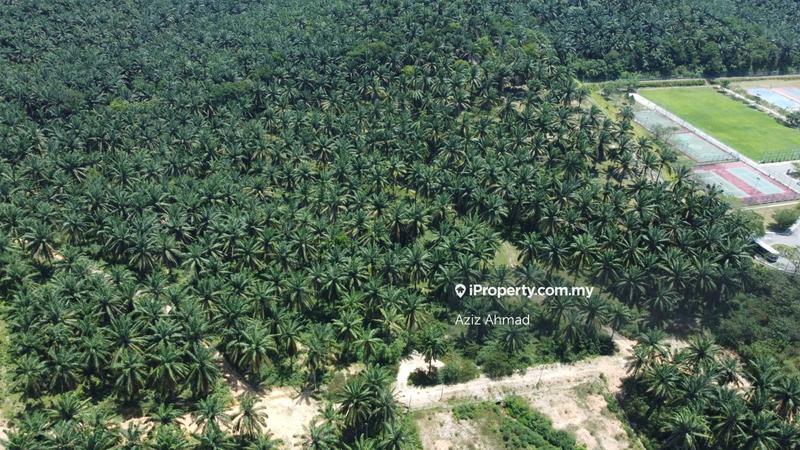 Agricultural Land for Sale in Rembau, Rembau by Aziz Ahmad - iProperty.com.my