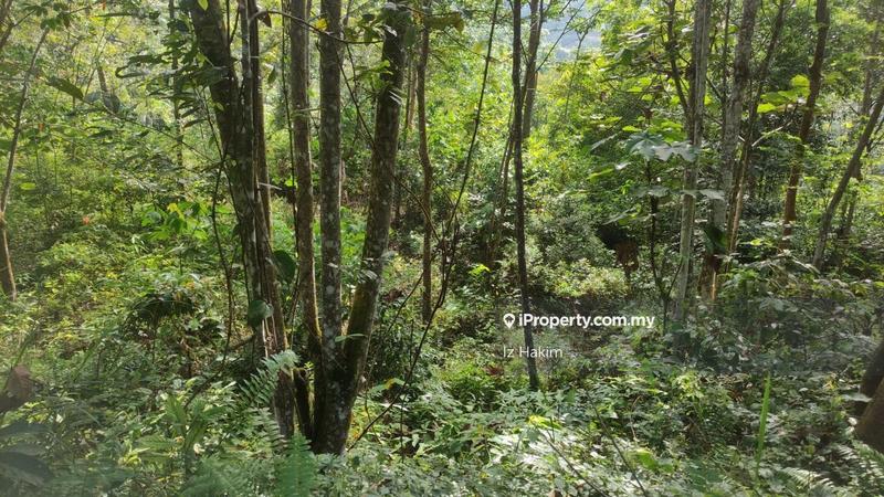 Tanah Pertanian untuk Dijual di hulu rening, Batang Kali oleh Iz Hakim - iProperty.com.my