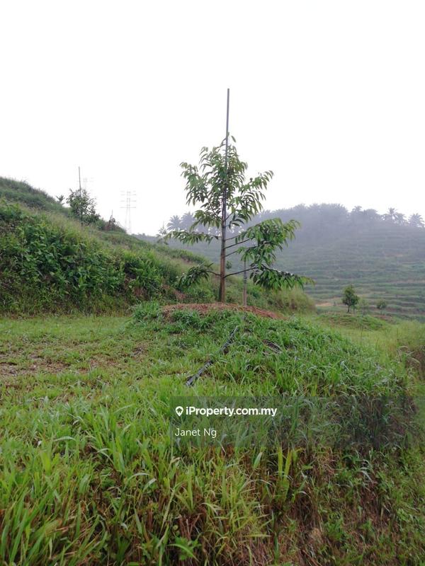 Agricultural Land for Sale in Taman Ampang Pecah, Kuala Kubu Bharu by Janet Ng - iProperty.com.my