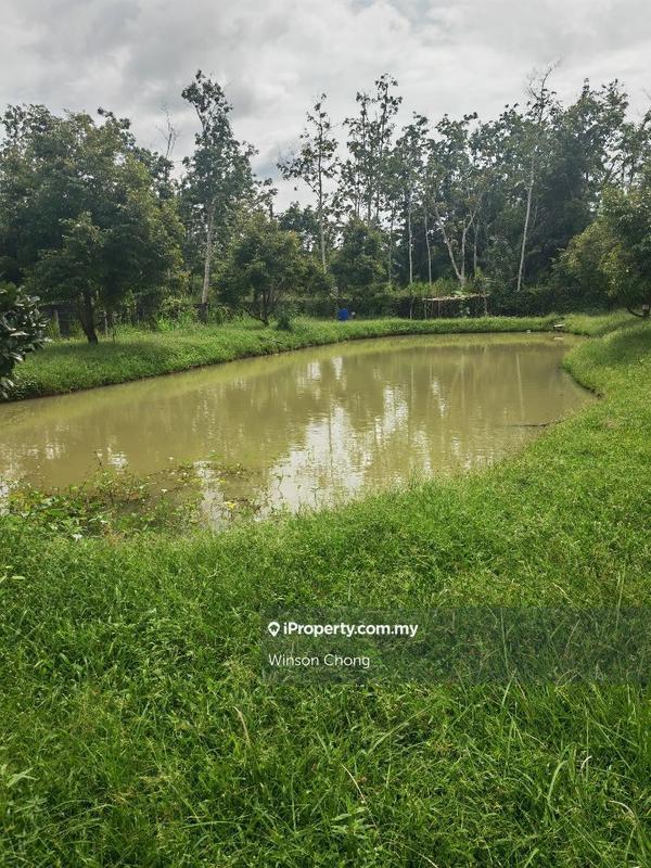 Agricultural Land for Sale in Kampung Baru Pokok Sena, Pokok Sena by Winson Chong - iProperty.com.my