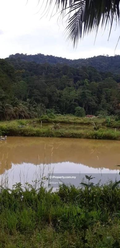 Tanah Pertanian untuk Dijual di Taman Jelebu, Kuala Klawang oleh William Ng - iProperty.com.my