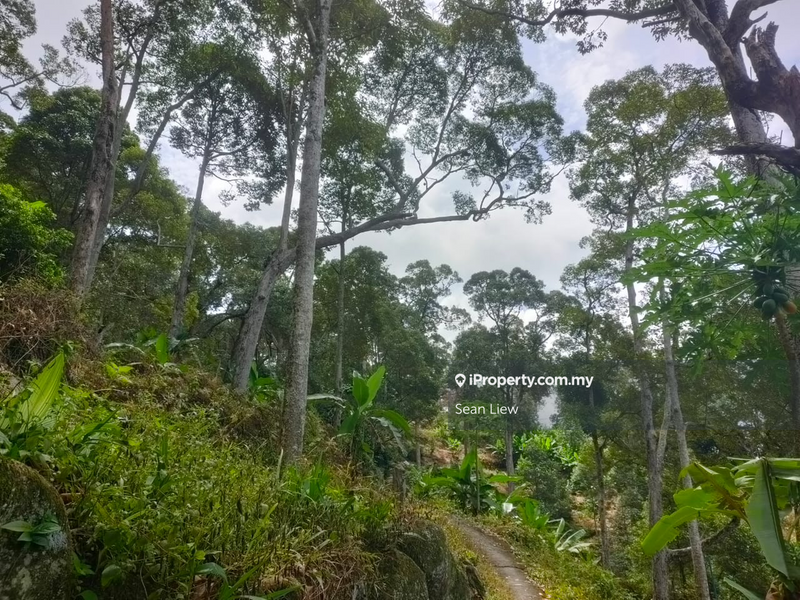 Agricultural Land for Sale in Pulau Penang, Bayan Lepas by Sean Liew - iProperty.com.my