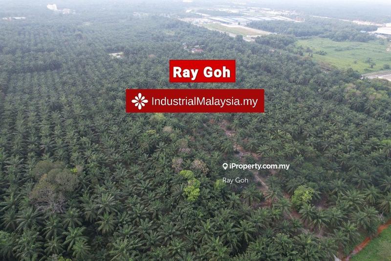 Agricultural Land for Sale in Kampung Kanchong Tengah, Banting by Ray Goh - iProperty.com.my