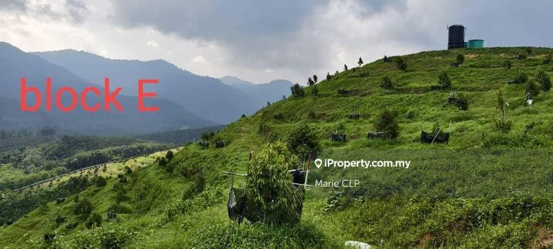 Agricultural Land for Sale in Lenggong, Perak by Marie CLP - iProperty.com.my