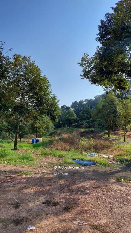 Agricultural Land for Sale in Taman Jelebu, Kuala Klawang by Ken Tham - iProperty.com.my