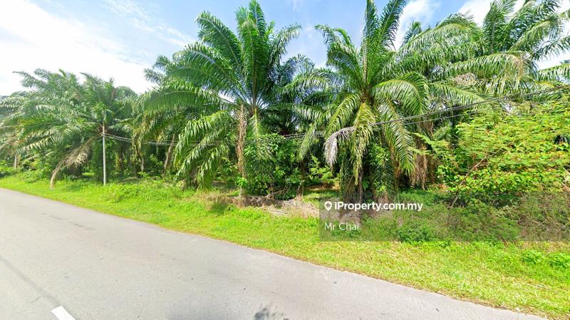 Tanah Pertanian untuk Dijual di Banting, Banting oleh Mr Chai - iProperty.com.my