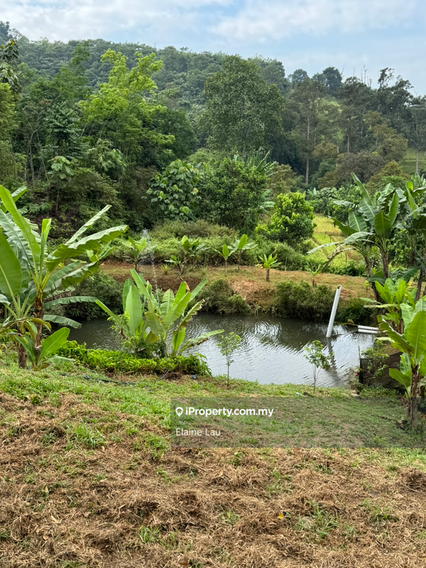 Agricultural Land for Sale in Kampung Sungai Tekali, Hulu Langat by Elaine Lau - iProperty.com.my