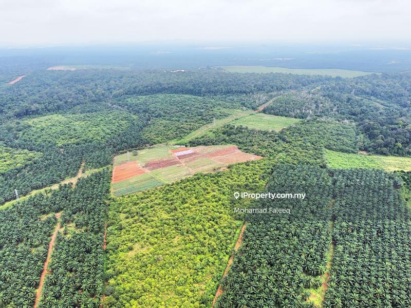 Tanah Perindustrian untuk Dijual di Sungai Petani, Kedah oleh Mohamad Faleeq - iProperty.com.my