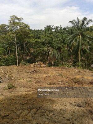 Tanah Pertanian untuk Dijual di Kampung Sungai Lalang, Semenyih oleh Terry Chan - iProperty.com.my