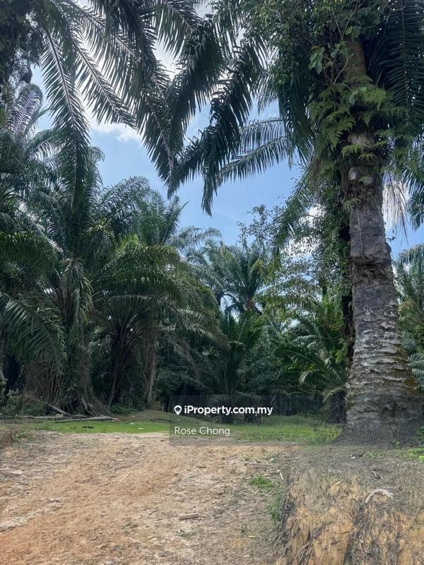 Agricultural Land for Sale in Kampung Jenderam Hilir, Dengkil by Rose Chong - iProperty.com.my