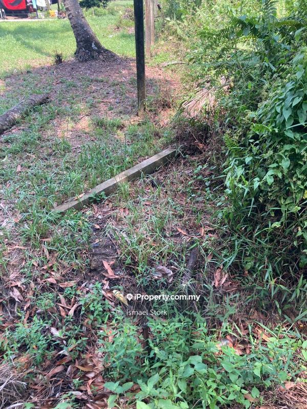 Agricultural Land for Sale in Kampung Sungai Ular, Sungai Karang by Ismael Stork - iProperty.com.my