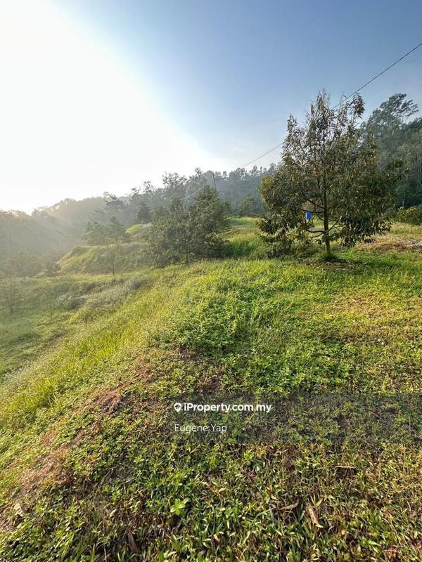 Agricultural Land for Sale in Serendah, Rawang by Eugene Yap - iProperty.com.my