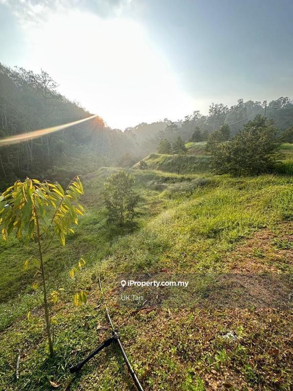 For Rent - Agriculture Land 6 Acres @ Serendah Rawang