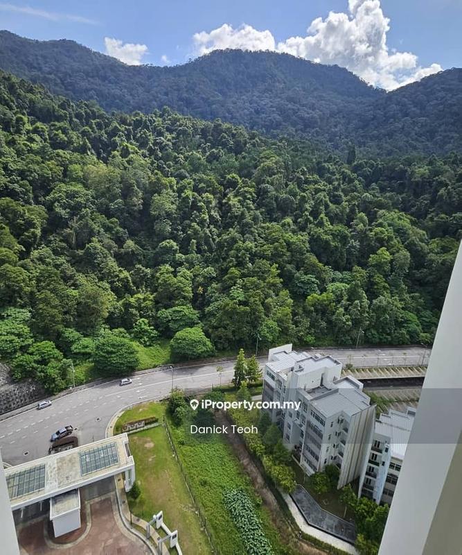 Kondominium untuk Disewa di Ferringhi Residence 2 oleh Danick Teoh - View - iProperty.com.my